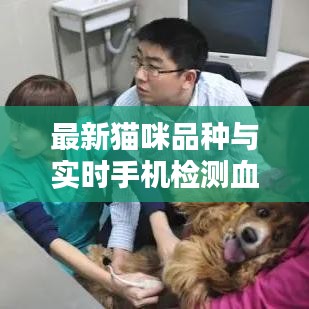 最新猫咪品种与实时手机检测血糖仪,全面解析与应用指南