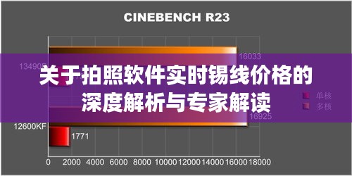 关于拍照软件实时锡线价格的深度解析与专家解读