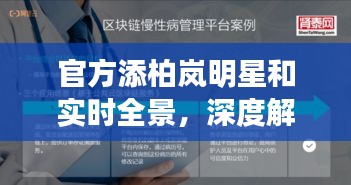 官方添柏岚明星和实时全景，深度解读与策略应用