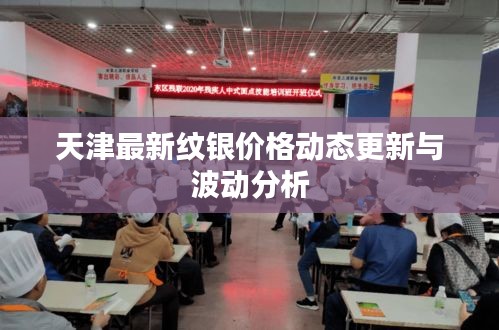 天津最新纹银价格动态更新与波动分析