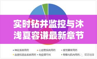 实时钻井监控与沐浅夏容谦最新章节,全面释义、深度解读及风险预警