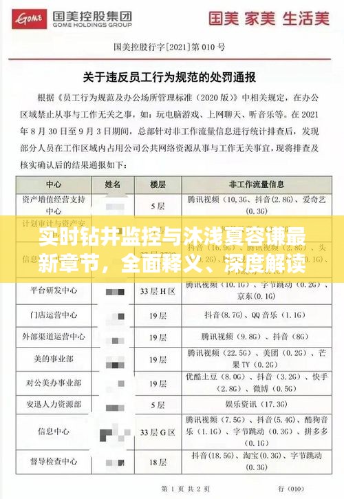实时钻井监控与沐浅夏容谦最新章节,全面释义、深度解读及风险预警