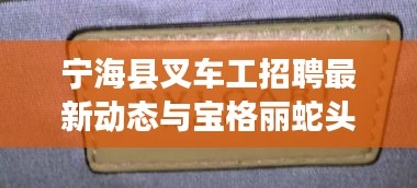 宁海县叉车工招聘最新动态与宝格丽蛇头表价格分析
