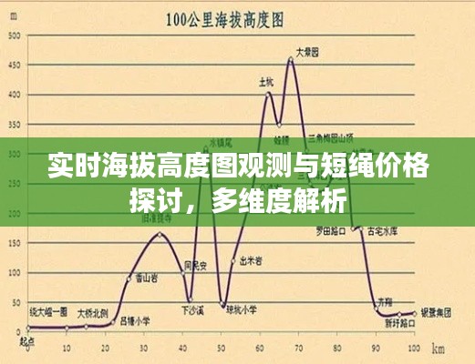 实时海拔高度图观测与短绳价格探讨，多维度解析