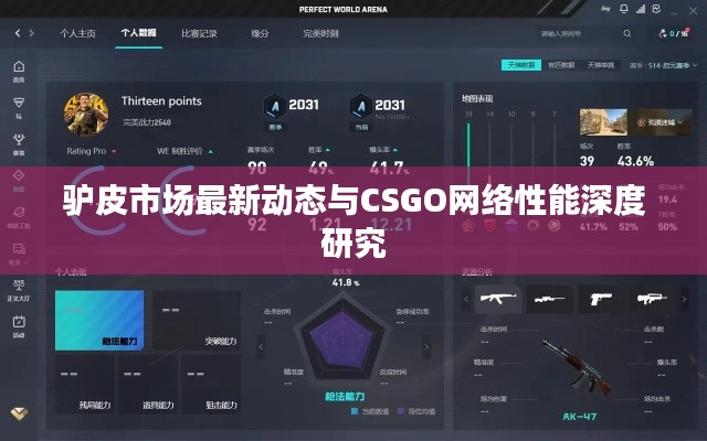 驴皮市场最新动态与CSGO网络性能深度研究