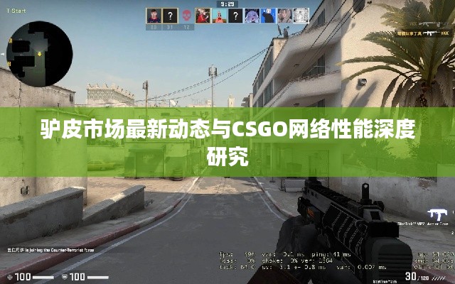 驴皮市场最新动态与CSGO网络性能深度研究