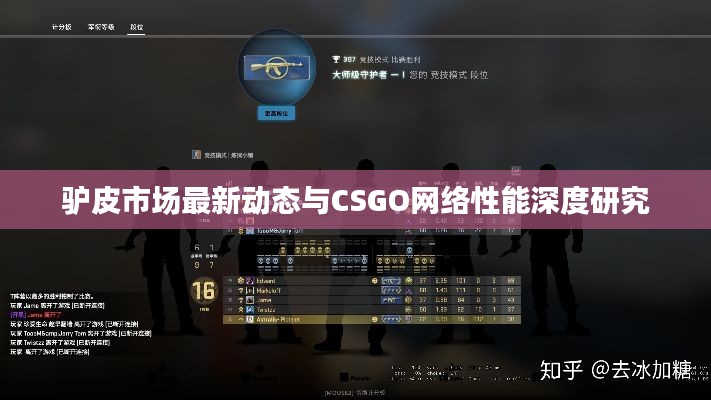 驴皮市场最新动态与CSGO网络性能深度研究