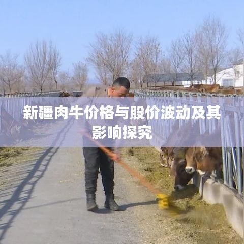 新疆肉牛价格与股价波动及其影响探究