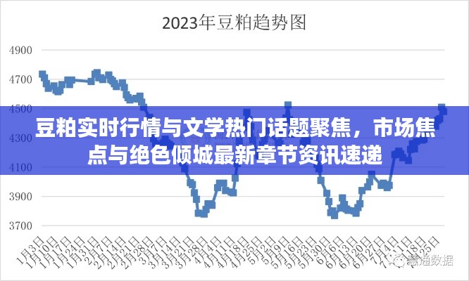 豆粕实时行情与文学热门话题聚焦，市场焦点与绝色倾城最新章节资讯速递
