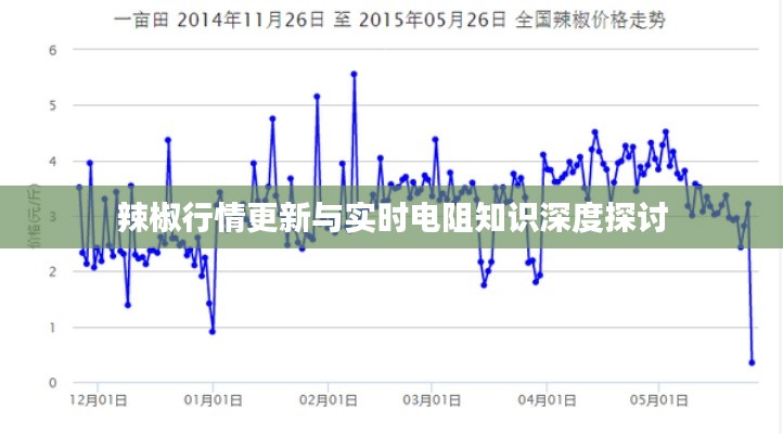 辣椒行情更新与实时电阻知识深度探讨