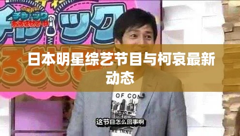 日本明星综艺节目与柯哀最新动态