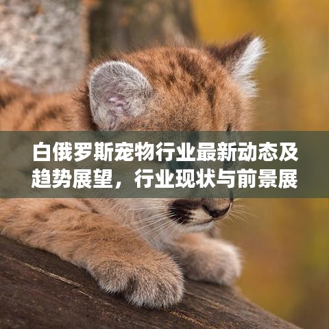 白俄罗斯宠物行业最新动态及趋势展望,行业现状与前景展望