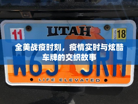 全美战疫时刻,疫情实时与炫酷车牌的交织故事