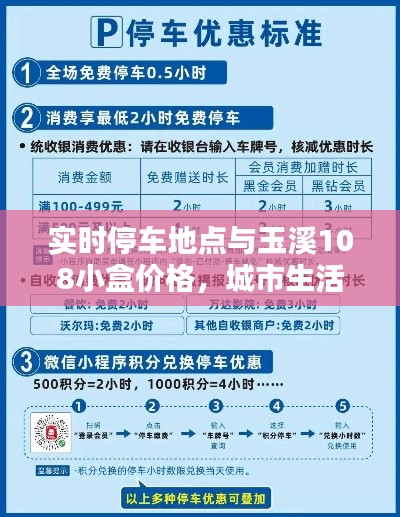 实时停车地点与玉溪108小盒价格,城市生活的细节探索