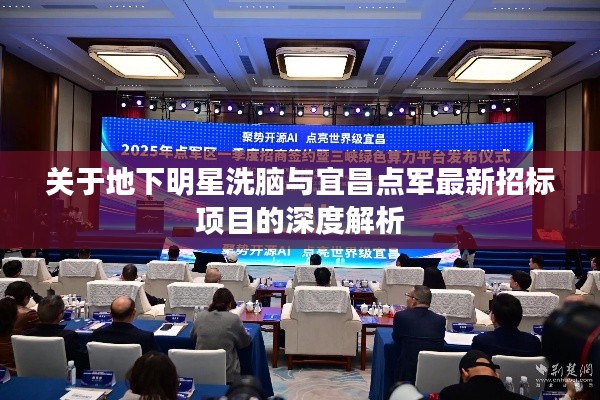 关于地下明星洗脑与宜昌点军最新招标项目的深度解析