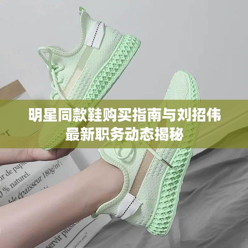 明星同款鞋购买指南与刘招伟最新职务动态揭秘
