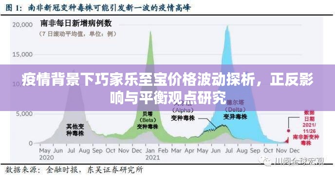 疫情背景下巧家乐至宝价格波动探析,正反影响与平衡观点研究
