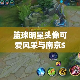 篮球明星头像可爱风采与南京S11最新动态速览