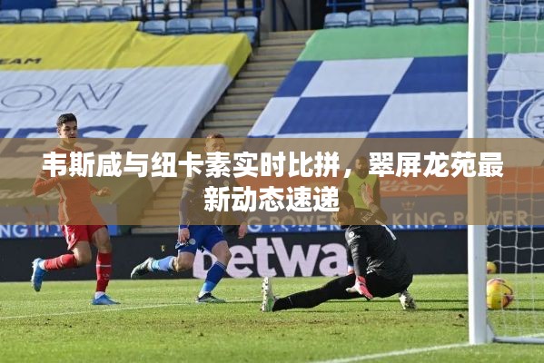 韦斯咸与纽卡素实时比拼,翠屏龙苑最新动态速递