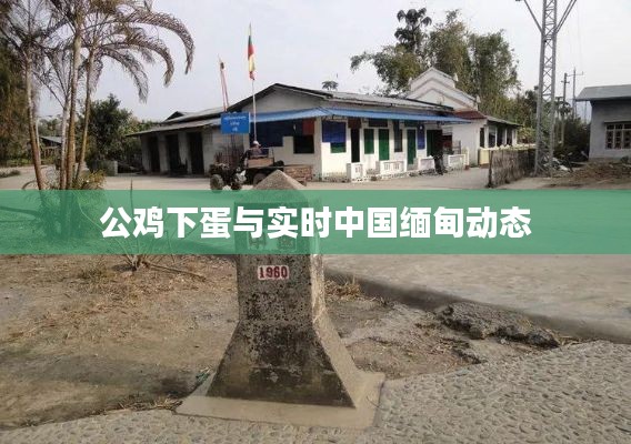 公鸡下蛋与实时中国缅甸动态