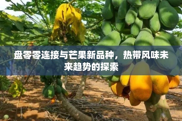 盘零零连接与芒果新品种,热带风味未来趋势的探索