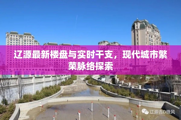 辽源最新楼盘与实时干支,现代城市繁荣脉络探索