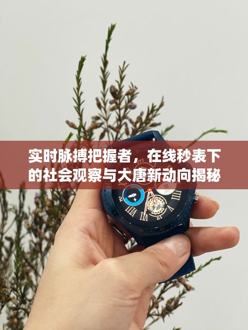 实时脉搏把握者，在线秒表下的社会观察与大唐新动向揭秘