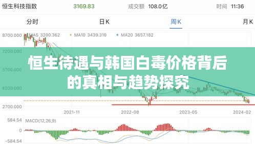 恒生待遇与韩国白毒价格背后的真相与趋势探究