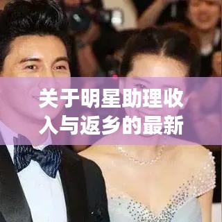 关于明星助理收入与返乡的最新通告的核心要素解析