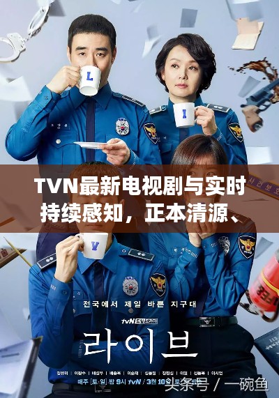 TVN最新电视剧与实时持续感知,正本清源、务实指导与打假警示