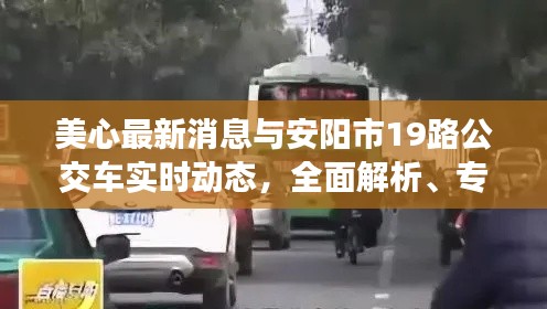 美心最新消息与安阳市19路公交车实时动态,全面解析、专家观点及虚假宣传现象揭露