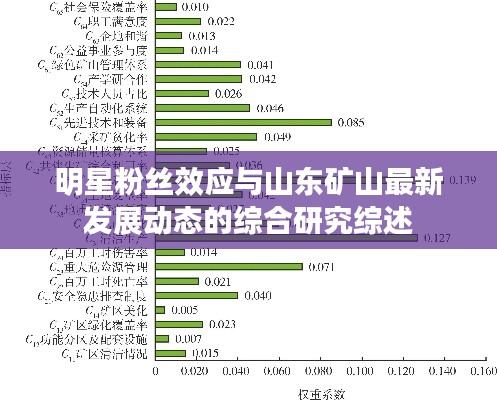 明星粉丝效应与山东矿山最新发展动态的综合研究综述