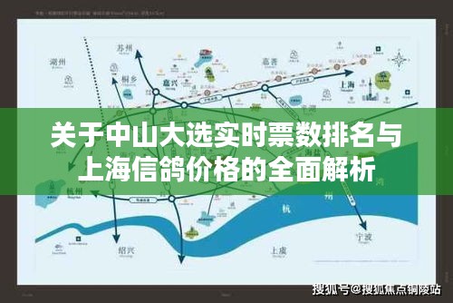 关于中山大选实时票数排名与上海信鸽价格的全面解析