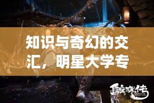 关于我们 第35页