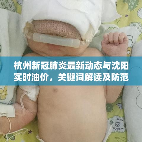 杭州新冠肺炎最新动态与沈阳实时油价,关键词解读及防范虚假宣传指导