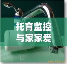 托育监控与家家爱电热水龙头价格揭秘，实用指南助你轻松掌握最新资讯！