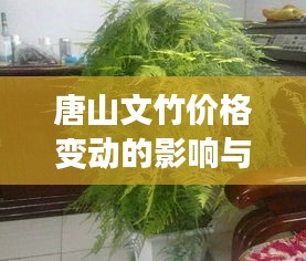 唐山文竹价格变动的影响与实时调整人生轨迹的应对策略
