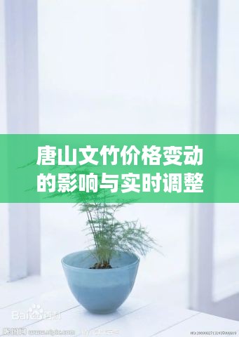 唐山文竹价格变动的影响与实时调整人生轨迹的应对策略
