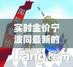 实时金价宁波同最新的穿越剧情动漫,全面解析与虚假宣传揭露