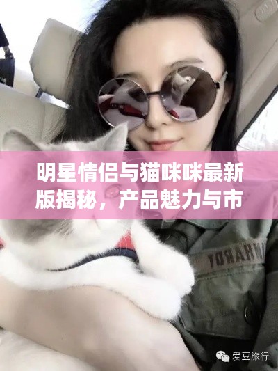 明星情侣与猫咪咪最新版揭秘，产品魅力与市场反响大揭秘