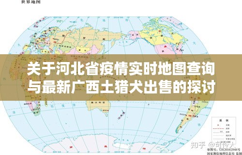 关于河北省疫情实时地图查询与最新广西土猎犬出售的探讨