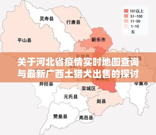 关于河北省疫情实时地图查询与最新广西土猎犬出售的探讨