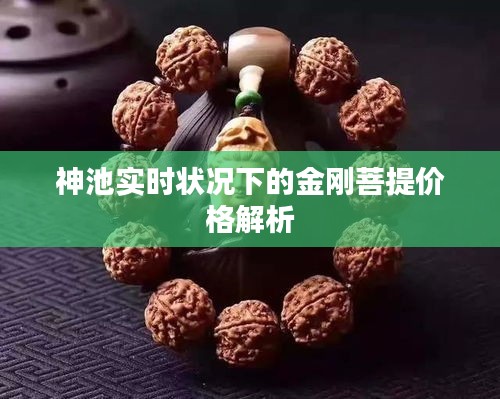 神池实时状况下的金刚菩提价格解析