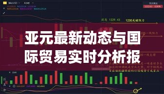 亚元最新动态与国际贸易实时分析报告，雨情影响下的最新进展