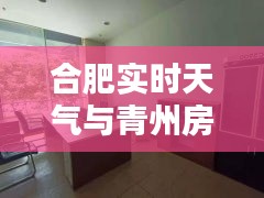 合肥实时天气与青州房屋出租最新信息解析
