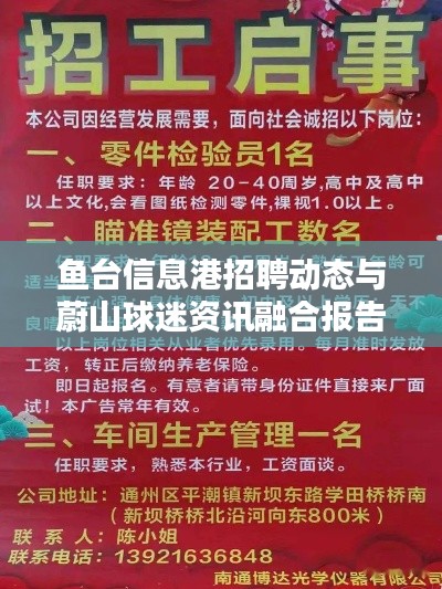 鱼台信息港招聘动态与蔚山球迷资讯融合报告，最新实时资讯集结