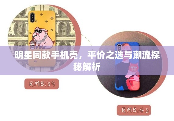 明星同款手机壳,平价之选与潮流探秘解析