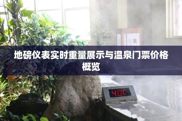 地磅仪表实时重量展示与温泉门票价格概览