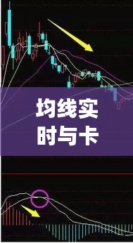 均线实时与卡特皮肤价格表,社会观察者的深度解读