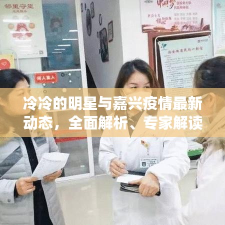 冷冷的明星与嘉兴疫情最新动态，全面解析、专家解读及虚假宣传揭露